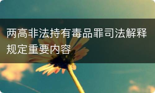 两高非法持有毒品罪司法解释规定重要内容
