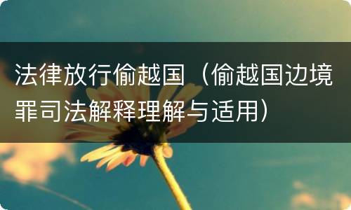 法律放行偷越国（偷越国边境罪司法解释理解与适用）