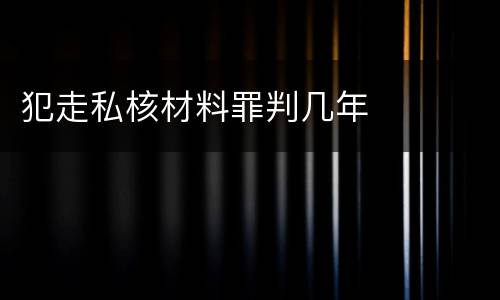 犯走私核材料罪判几年