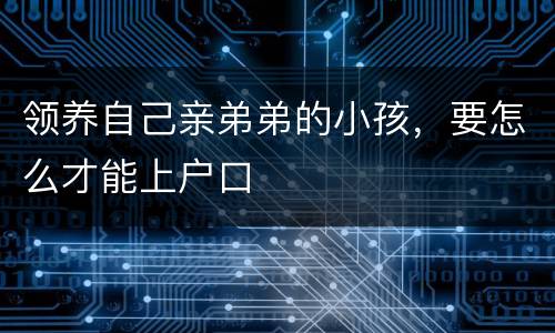 领养自己亲弟弟的小孩，要怎么才能上户口
