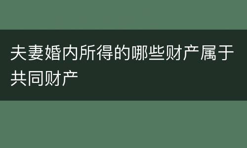 夫妻婚内所得的哪些财产属于共同财产