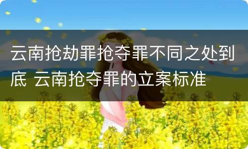 云南抢劫罪抢夺罪不同之处到底 云南抢夺罪的立案标准