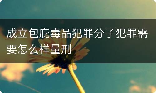 成立包庇毒品犯罪分子犯罪需要怎么样量刑