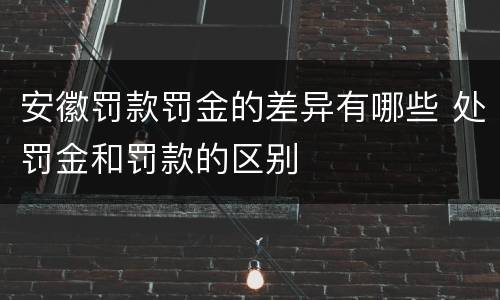 安徽罚款罚金的差异有哪些 处罚金和罚款的区别