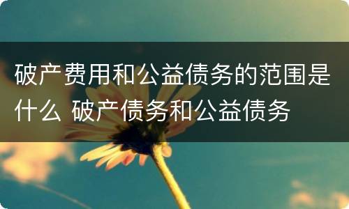 破产费用和公益债务的范围是什么 破产债务和公益债务