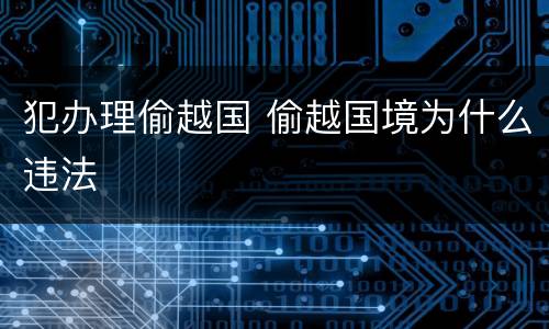 犯办理偷越国 偷越国境为什么违法