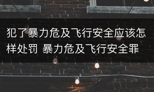 犯了暴力危及飞行安全应该怎样处罚 暴力危及飞行安全罪
