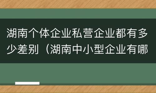湖南个体企业私营企业都有多少差别（湖南中小型企业有哪些）