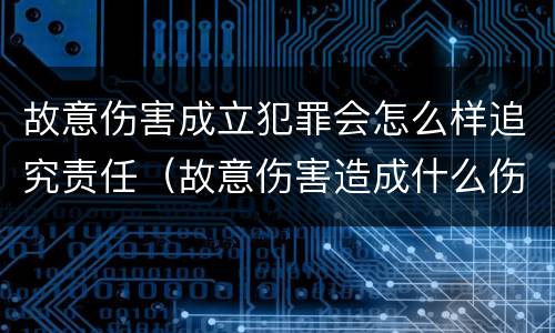 故意伤害成立犯罪会怎么样追究责任（故意伤害造成什么伤害后果的应当追究刑事责任）