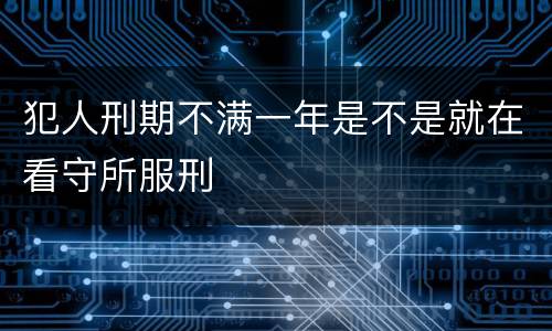 犯人刑期不满一年是不是就在看守所服刑