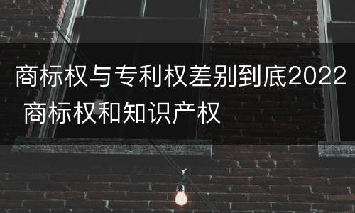商标权与专利权差别到底2022 商标权和知识产权