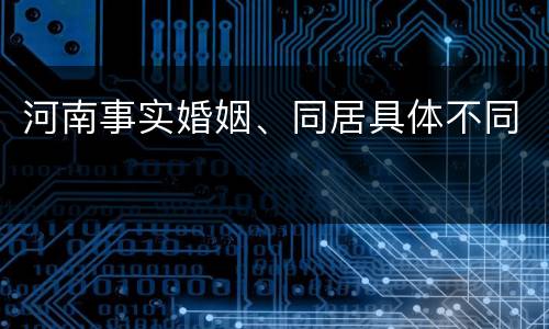河南事实婚姻、同居具体不同