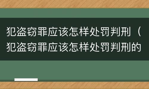 犯盗窃罪应该怎样处罚判刑（犯盗窃罪应该怎样处罚判刑的）