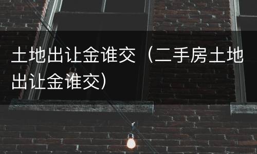 土地出让金谁交（二手房土地出让金谁交）
