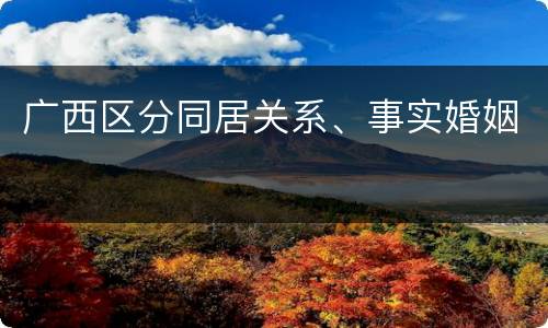 广西区分同居关系、事实婚姻