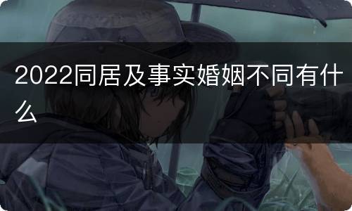 2022同居及事实婚姻不同有什么