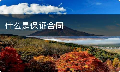 什么是保证合同