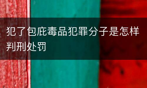 犯了包庇毒品犯罪分子是怎样判刑处罚