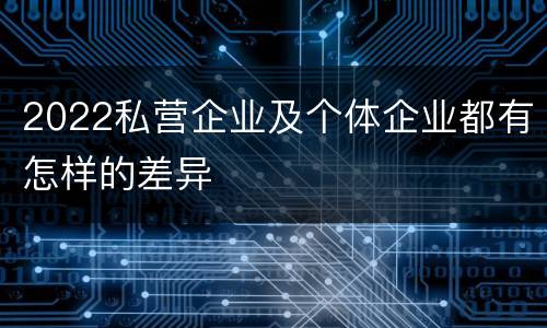 2022私营企业及个体企业都有怎样的差异