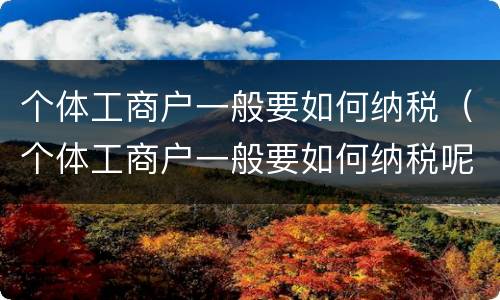 个体工商户一般要如何纳税（个体工商户一般要如何纳税呢）