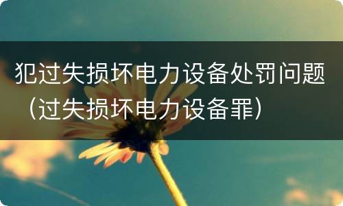 犯过失损坏电力设备处罚问题（过失损坏电力设备罪）