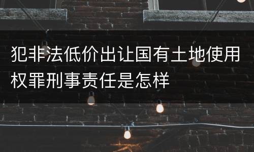 犯非法低价出让国有土地使用权罪刑事责任是怎样