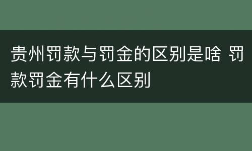 贵州罚款与罚金的区别是啥 罚款罚金有什么区别