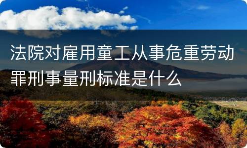 法院对雇用童工从事危重劳动罪刑事量刑标准是什么