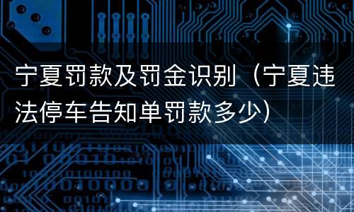 宁夏罚款及罚金识别（宁夏违法停车告知单罚款多少）