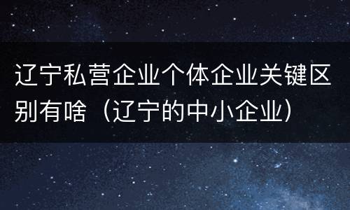 辽宁私营企业个体企业关键区别有啥（辽宁的中小企业）