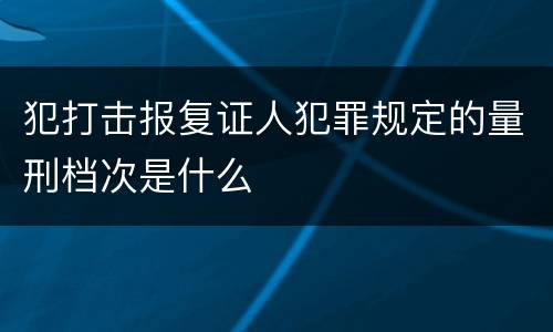 犯打击报复证人犯罪规定的量刑档次是什么