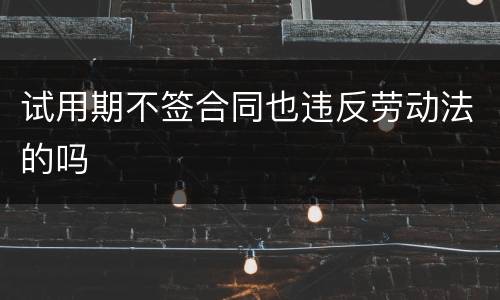 试用期不签合同也违反劳动法的吗