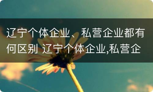 辽宁个体企业、私营企业都有何区别 辽宁个体企业,私营企业都有何区别和联系