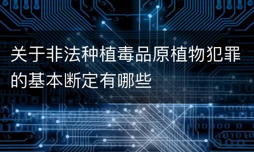 关于非法种植毒品原植物犯罪的基本断定有哪些