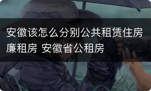 安徽该怎么分别公共租赁住房廉租房 安徽省公租房