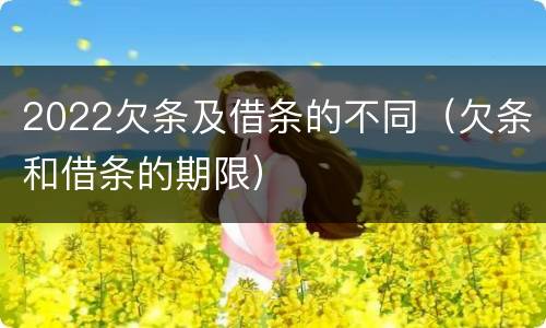 2022欠条及借条的不同（欠条和借条的期限）