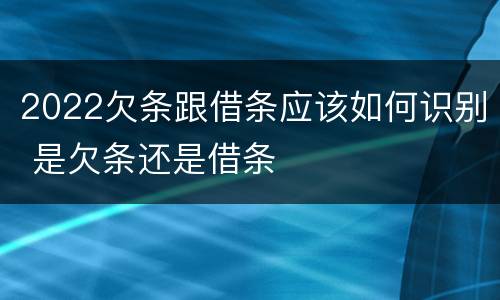 2022欠条跟借条应该如何识别 是欠条还是借条