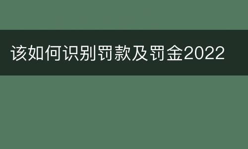 该如何识别罚款及罚金2022
