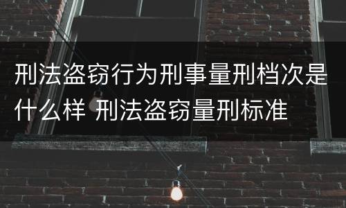 刑法盗窃行为刑事量刑档次是什么样 刑法盗窃量刑标准