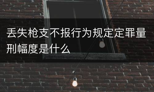 丢失枪支不报行为规定定罪量刑幅度是什么