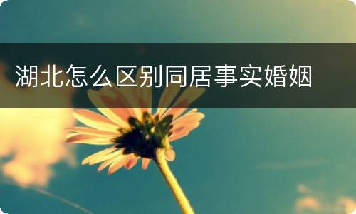 湖北怎么区别同居事实婚姻