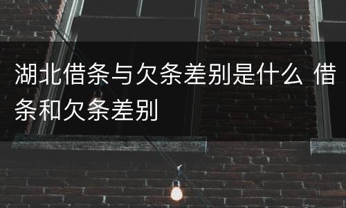 湖北借条与欠条差别是什么 借条和欠条差别
