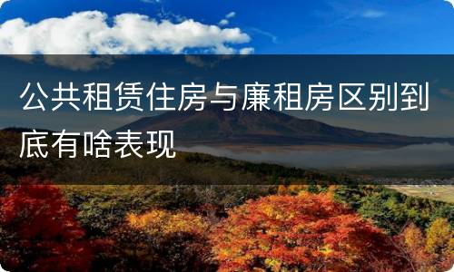 公共租赁住房与廉租房区别到底有啥表现