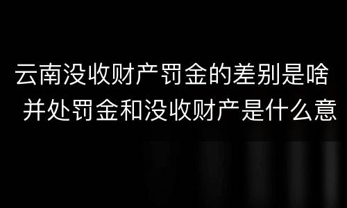 云南没收财产罚金的差别是啥 并处罚金和没收财产是什么意思