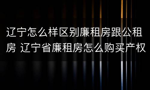 辽宁怎么样区别廉租房跟公租房 辽宁省廉租房怎么购买产权
