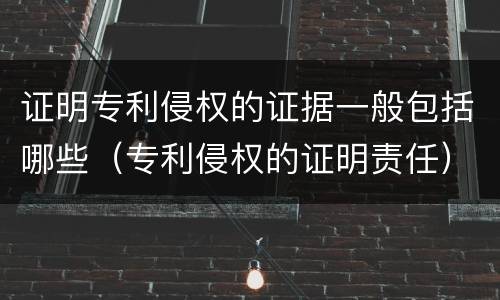 证明专利侵权的证据一般包括哪些（专利侵权的证明责任）