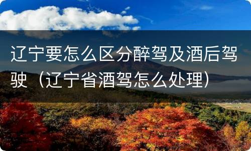 辽宁要怎么区分醉驾及酒后驾驶（辽宁省酒驾怎么处理）