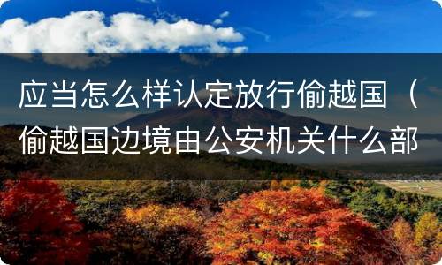应当怎么样认定放行偷越国（偷越国边境由公安机关什么部门进行处罚）