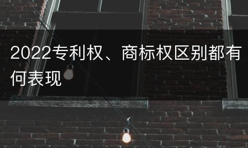 2022专利权、商标权区别都有何表现