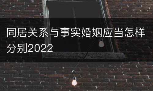同居关系与事实婚姻应当怎样分别2022